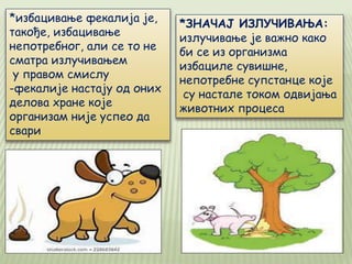*ЗНАЧАЈ ИЗЛУЧИВАЊА:
излучивање је важно како
би се из организма
избациле сувишне,
непотребне супстанце које
су настале током одвијања
животних процеса
*избацивање фекалија је,
такође, избацивање
непотребног, али се то не
сматра излучивањем
у правом смислу
-фекалије настају од оних
делова хране које
организам није успео да
свари
 