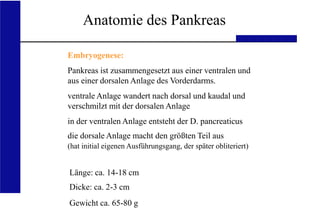 UKA Medizinische Klinik III RWTH Aachen
Länge: ca. 14-18 cm
Dicke: ca. 2-3 cm
Gewicht ca. 65-80 g
Embryogenese:
Pankreas ist zusammengesetzt aus einer ventralen und
aus einer dorsalen Anlage des Vorderdarms.
ventrale Anlage wandert nach dorsal und kaudal und
verschmilzt mit der dorsalen Anlage
in der ventralen Anlage entsteht der D. pancreaticus
die dorsale Anlage macht den größten Teil aus
(hat initial eigenen Ausführungsgang, der später obliteriert)
Anatomie des Pankreas
 