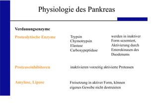 UKA Medizinische Klinik III RWTH Aachen
Physiologie des Pankreas
Verdauungsenzyme
Proteolytische Enzyme
Proteaseinhibitoren
Amylase, Lipase
Trypsin
Chymotrypsin
Elastase
Carboxypeptidase
werden in inaktiver
Form sezerniert,
Aktivierung durch
Enterokinasen des
Duodenums
inaktivieren vorzeitig aktivierte Proteasen
Freisetzung in aktiver Form, können
eigenes Gewebe nicht destruieren
 