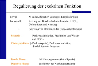 UKA Medizinische Klinik III RWTH Aachen
Regulierung der exokrinen Funktion
Basale Phase:
Digestive Phase:
bei Nahrungskarenz (interdigestiv)
durch bzw. bei Nahrungsaufnahme
nerval:
hormonell:
Sekretin
N. vagus, stimuliert vorzugsw. Enzymsekretion
Reizung der Duodenalschleimhaut durch HCL,
Gallensäuren und Nahrung
Sekretion von Hormonen der Duodenalschleimhaut
Pankreasstimulation, Produktion von Wasser
und HCO3-
Cholezystokinin (=Pankreozymin), Pankreasstimulation,
Produktion von Enzymen
 