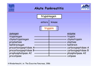 trypsin
enzyme
trypsin
chymotrypsin
elastase
kallikrein
carboxypeptidase A
carboxypeptidase B
phospholipase A2
colipase
entero kinase
zymogen
trypsinogen
chymotrypsinogen
proelastase
kallikreinogen
procarboxypeptidase A
procarboxypeptidase B
prophospholipase A2
procolipase
H Rinderknecht, in: The Exocrine Pancreas, 1986
Akute Pankreatitis
trypsinogen
 