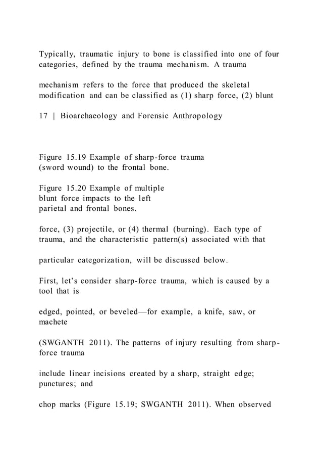 15. Bioarchaeology and Forensic AnthropologyAshley Kendell, | PDF