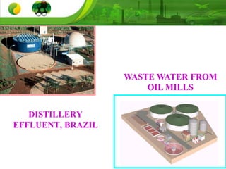 DISTILLERY
EFFLUENT, BRAZIL
WASTE WATER FROM
OIL MILLS
 
