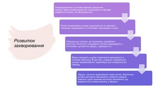 Розвиток
захворювання
Упроваджуючись в клітини верхніх дихальних
шляхів, віруси розмножуються, проникають в місцеві
лімфатичні вузли, які збільшуються.
Потім потрапляють в кров і розносяться по органах і
тканинах, взаємодіють з клітинами і проникають в них.
З'являються клітини, які починають виробляти
антитіла. Антитіла і специфічні клітини взаємодіють з
клітинами, що містять віруси, і руйнують їх.
Віруси виходять в кров і одночасно проникають в
слизову оболонку. В цей час у хворого з'являються
ознаки захворювання, характерні для катарального
періоду.
Віруси, частини зруйнованих ними клітин, біологічно
активні речовини викликають алергічні реакції.
Навколо судин виникає вогнище запалення, що
виявляється появою висипу у хворого.
 