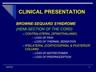spinal injuries.ppt