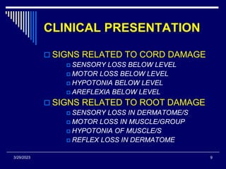 spinal injuries.ppt