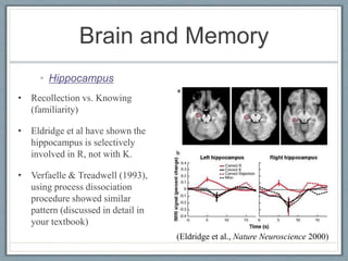 • Recollection vs. Knowing
(familiarity)
• Eldridge et al have shown the
hippocampus is selectively
involved in R, not with K.
• Verfaelle & Treadwell (1993),
using process dissociation
procedure showed similar
pattern (discussed in detail in
your textbook)
(Eldridge et al., Nature Neuroscience 2000)
Brain and Memory
• Hippocampus
 