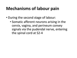 Mechanisms of labour pain
• During the second stage of labour:
• Somatic afferent neurons arising in the
cervix, vagina, and perineum convey
signals via the pudendal nerve, entering
the spinal cord at S2-4
 