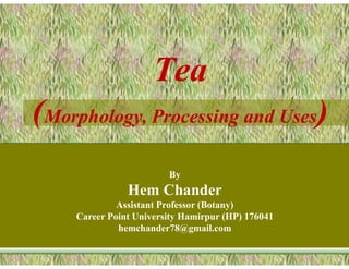 Tea
Tea
(
(Morphology, Processing and Uses
Morphology, Processing and Uses)
)
By
Hem Chander
Assistant Professor (Botany)
Career Point University Hamirpur (HP) 176041
hemchander78@gmail.com
 