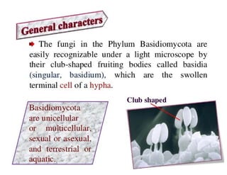 15. Basidiomycota.pdf