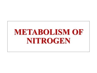 METABOLISM OF
NITROGEN
 