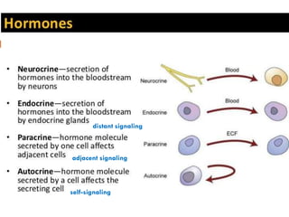 classification
self-signaling
adjacent signaling
distant signaling
 
