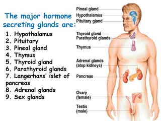 1. Hypothalamus
2. Pituitary
3. Pineal gland
4. Thymus
5. Thyroid gland
6. Parathyroid glands
7. Langerhans’ islet of
pancreas
8. Adrenal glands
9. Sex glands
The major hormone
secreting glands are:
 