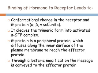 Binding of Hormone to Receptor Leads to:
 Conformational change in the receptor and
G-protein (α, β, γ subunits).
 It cleaves the trimeric form into activated
α-GTP complex.
 G-protein is a peripheral protein; which
diffuses along the inner surface of the
plasma membrane to reach the effector
protein.
 Through allosteric modification the message
is conveyed to the effector protein
 
