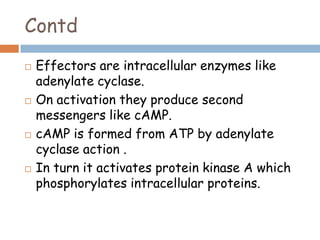 Contd
 Effectors are intracellular enzymes like
adenylate cyclase.
 On activation they produce second
messengers like cAMP.
 cAMP is formed from ATP by adenylate
cyclase action .
 In turn it activates protein kinase A which
phosphorylates intracellular proteins.
 