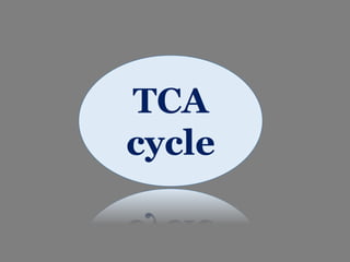 TCA
cycle
 
