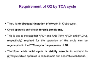 Requirement of O2 by TCA cycle
• There is no direct participation of oxygen in Krebs cycle.
• Cycle operates only under aerobic conditions.
• This is due to the fact that NAD+ and FAD (form NADH and FADH2,
respectively) required for the operation of the cycle can be
regenerated in the ETC only in the presence of O2.
• Therefore, citric acid cycle is strictly aerobic in contrast to
glycolysis which operates in both aerobic and anaerobic conditions.
 