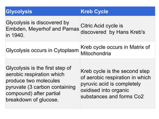 Glycolysis Kreb Cycle
Glycolysis is discovered by
Embden, Meyerhof and Parnas
in 1940.
Citric Acid cycle is
discovered by Hans Kreb's
Glycolysis occurs in Cytoplasm
Kreb cycle occurs in Matrix of
Mitochondria
Glycolysis is the first step of
aerobic respiration which
produce two molecules
pyruvate (3 carbon containing
compound) after partial
breakdown of glucose.
Kreb cycle is the second step
of aerobic respiration in which
pyruvic acid is completely
oxidised into organic
substances and forms Co2
 