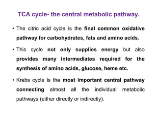 TCA cycle- the central metabolic pathway.
• The citric acid cycle is the final common oxidative
pathway for carbohydrates, fats and amino acids.
• This cycle not only supplies energy but also
provides many intermediates required for the
synthesis of amino acids, glucose, heme etc.
• Krebs cycle is the most important central pathway
connecting almost all the individual metabolic
pathways (either directly or indirectly).
 