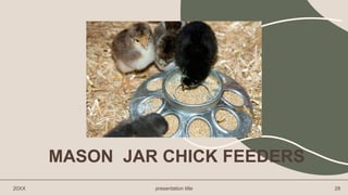 MASON JAR CHICK FEEDERS
20XX presentation title 28
 