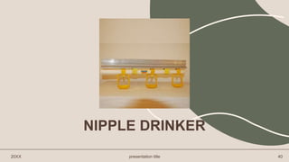 NIPPLE DRINKER
20XX presentation title 40
 