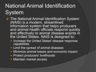 15.2 Animal Identification aaaaaaaaaaa.ppt