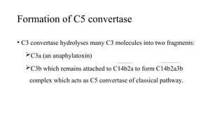 Complement System microbiologyyy…………………. | PPT
