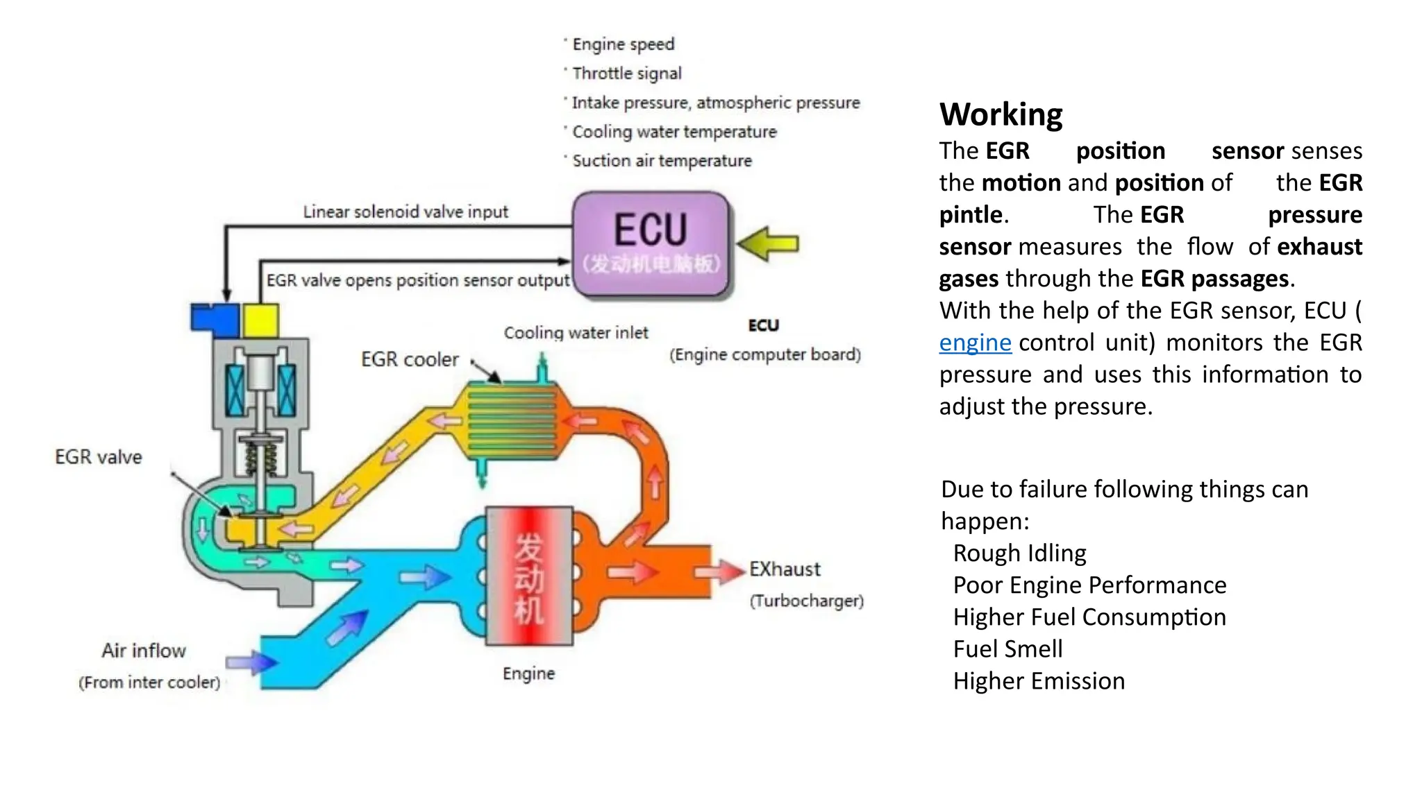 Working
The EGR position sensor senses
the motion and position of the EGR
pintle. The EGR pressure
sensor measures the flow of exhaust
gases through the EGR passages.
With the help of the EGR sensor, ECU (
engine control unit) monitors the EGR
pressure and uses this information to
adjust the pressure.
Due to failure following things can
happen:
Rough Idling
Poor Engine Performance
Higher Fuel Consumption
Fuel Smell
Higher Emission
 