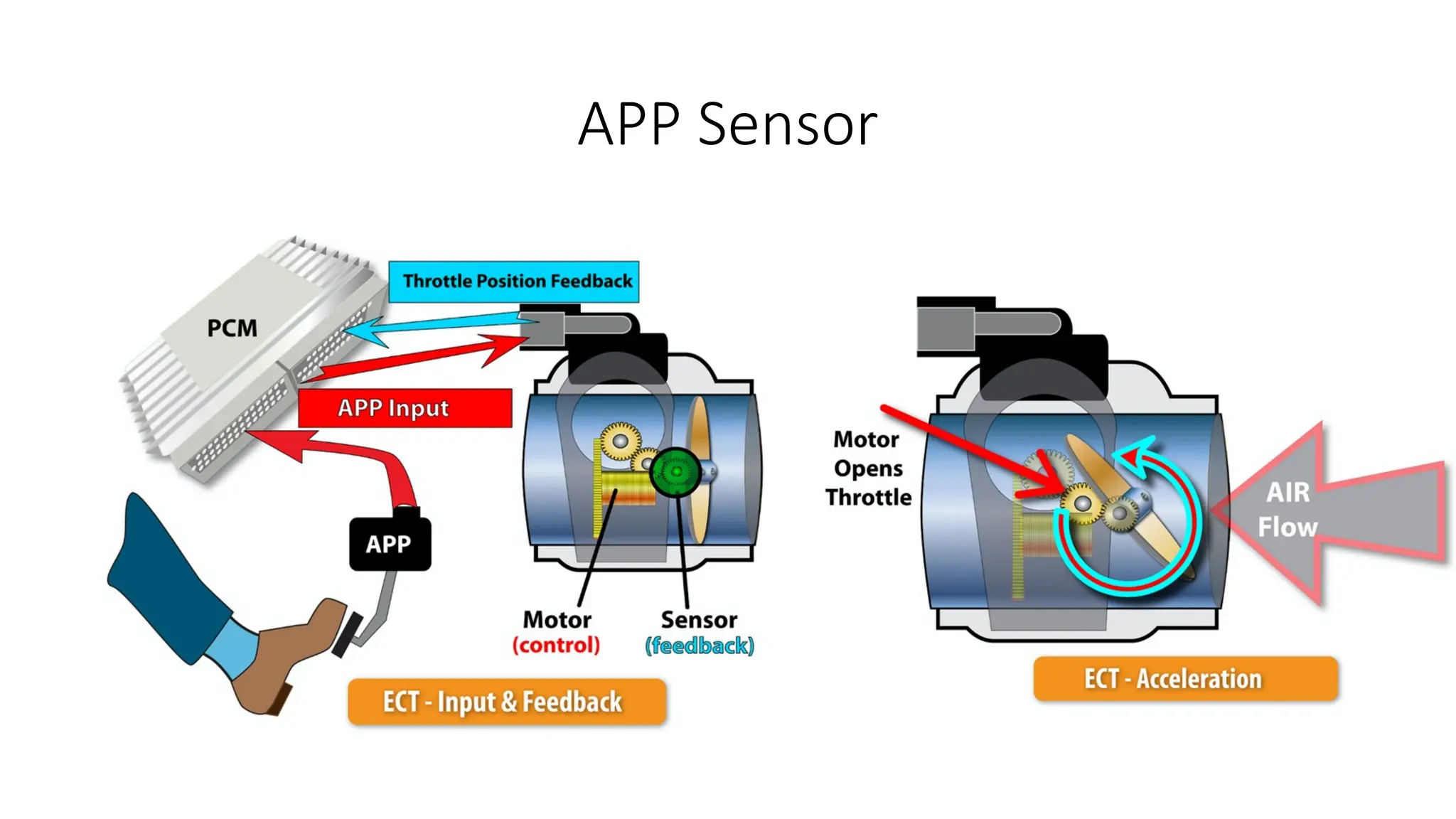 APP Sensor
 
