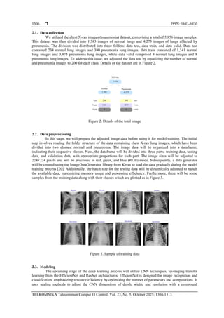 Advanced pneumonia classification using transfer learning on chest X ...