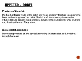 The eye(Orbit) anatomy.pptx................................... | PPTX