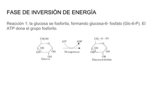 Comprehensive Overview of Glycolysis: Metabolic Pathways and Regulation ...