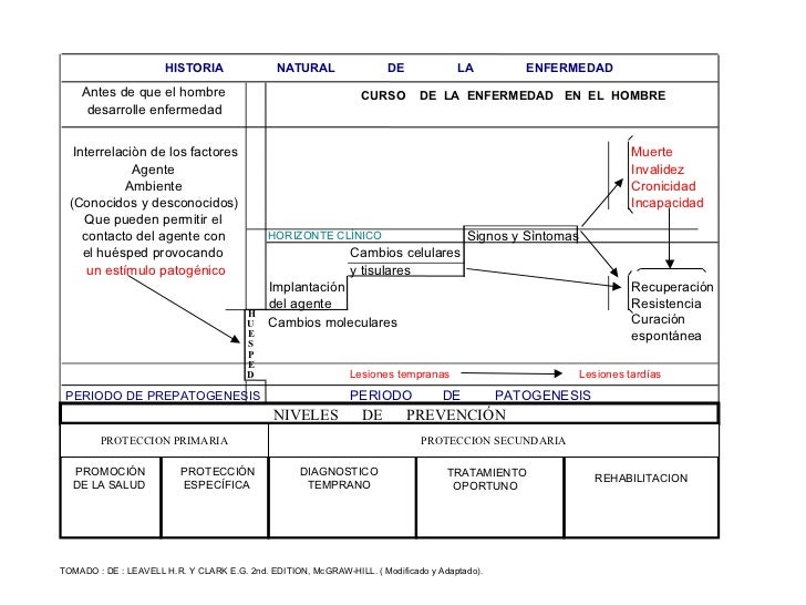 cadena epidemiologica poliomelitis 15 3 hiistoria natural de la enfermedad cadena epidemiologica poliomelitis 15 3 hiistoria natural de la enfermedad