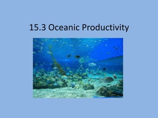 15.3 Oceanic Productivity 