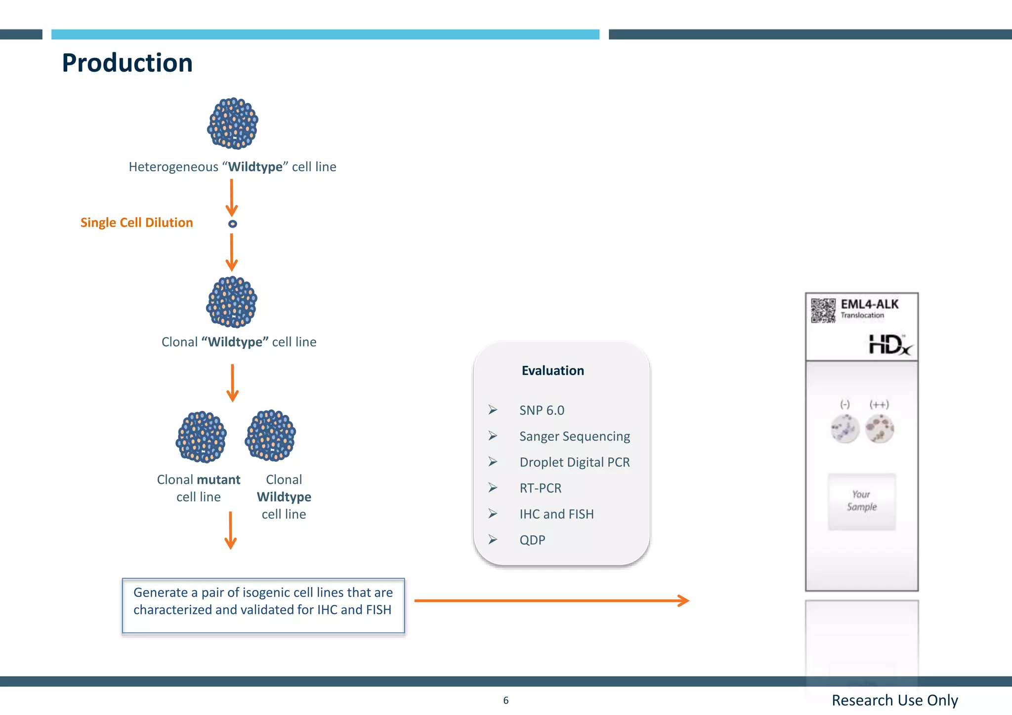 Research Use Only6
Production
Single Cell Dilution
Heterogeneous “Wildtype” cell line
Clonal “Wildtype” cell line
Generate a pair of isogenic cell lines that are
characterized and validated for IHC and FISH
Clonal mutant
cell line
Clonal
Wildtype
cell line
Evaluation
 SNP 6.0
 Sanger Sequencing
 Droplet Digital PCR
 RT-PCR
 IHC and FISH
 QDP
 