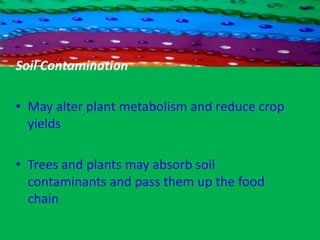 Environmental Pollution Effects on Trees and Plants Air Pollution Acid rain can kill trees, destroy the leaves of plants, can infiltrate soil by making it unsuitable for purposes of nutrition and habitation 