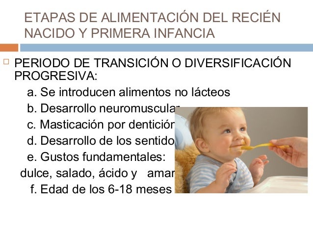 15. alimentacion en las diferentes etapas de la vida