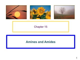 Chapter 15




Amines and Amides



                    1
 