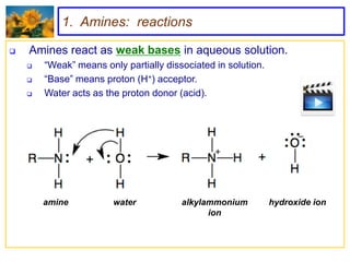1. Amines: reactions

   Amines react as weak bases in aqueous solution.
       “Weak” means only partially dissociated in solution.
       “Base” means proton (H+) acceptor.
       Water acts as the proton donor (acid).




        amine           water           alkylammonium          hydroxide ion
                                              ion
 