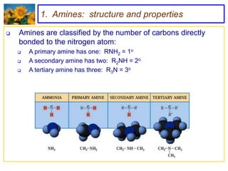 1. Amines: structure and properties

   Amines are classified by the number of carbons directly
    bonded to the nitrogen atom:
       A primary amine has one: RNH2 = 1o
       A secondary amine has two: R2NH = 2o
       A tertiary amine has three: R3N = 3o
 