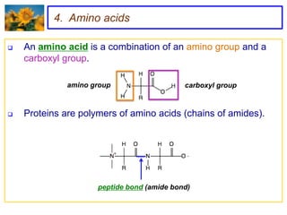 4. Amino acids

   An amino acid is a combination of an amino group and a
    carboxyl group.

              amino group                   carboxyl group



   Proteins are polymers of amino acids (chains of amides).




                     peptide bond (amide bond)
 
