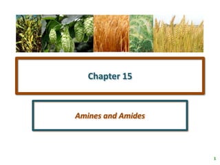 1
Chapter 15
Amines and Amides
 