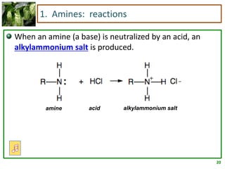 20
1. Amines: reactions
When an amine (a base) is neutralized by an acid, an
alkylammonium salt is produced.
alkylammonium saltamine acid
 