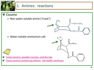 24
1. Amines: reactions
Cocaine
Non-water-soluble amine (“crack”)
Water-soluble ammonium salt
Crack cocaine, powder cocaine, and the law
Crack cocaine sentencing reform: the battle continues
 