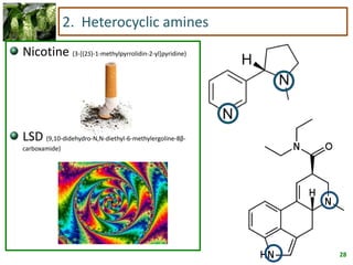 28
2. Heterocyclic amines
Nicotine (3-[(2S)-1-methylpyrrolidin-2-yl]pyridine)
LSD (9,10-didehydro-N,N-diethyl-6-methylergoline-8β-
carboxamide)
 