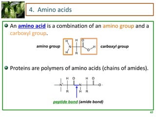 47
4. Amino acids
An amino acid is a combination of an amino group and a
carboxyl group.
Proteins are polymers of amino acids (chains of amides).
amino group carboxyl group
peptide bond (amide bond)
 