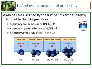 5
1. Amines: structure and properties
Amines are classified by the number of carbons directly
bonded to the nitrogen atom:
A primary amine has one: RNH2 = 1o
A secondary amine has two: R2NH = 2o
A tertiary amine has three: R3N = 3o
Video
 
