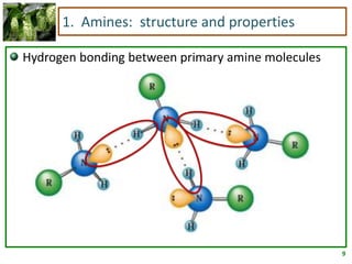 9
1. Amines: structure and properties
Hydrogen bonding between primary amine molecules
 