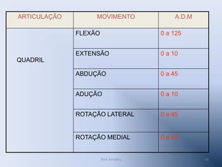 ARTICULAÇÃO

MOVIMENTO

A.D.M

FLEXÃO

0 a 125

EXTENSÃO

0 a 10

ABDUÇÃO

0 a 45

ADUÇÃO

0 a 10

ROTAÇÃO LATERAL

0 a 45

ROTAÇÃO MEDIAL

0 a 45

QUADRIL

Prof. Amadeu

10

 