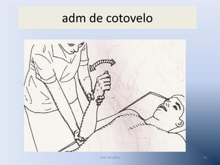adm de cotovelo

Prof. Amadeu

18

 